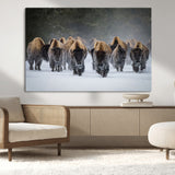 30332489-MGV-CV-36X24-Winter Bison Herd Wall Art – Powerful Buffalo Canvas Print, Rustic Wildlife Photography Decor for Farmhouse, Cabin, Lodge, Living
