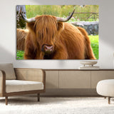 68411138-MGV-CV-36X24-Farmhouse Wall Art – Highland Cow Canvas Print, Rustic Country Cattle Photography Decor for Bedroom, Living Room, Office, Ranch,