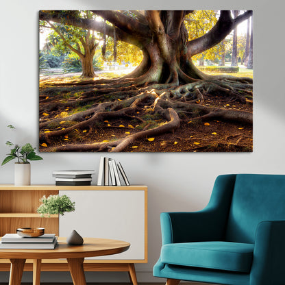53335-MGV-CV-36X24-Majestic Tree with Sprawling Roots Wall Art – Serene Sunlit Park Scene, Nature Canvas Print, Perfect for Living Room, Office or
