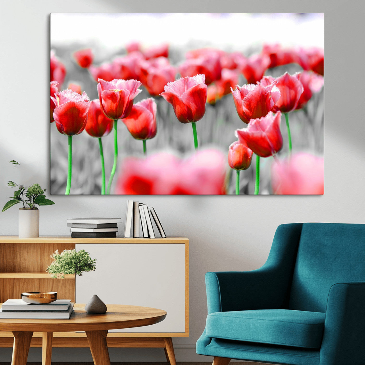 44554-MGV-CV-36X24-Vibrant red tulips stand out beautifully against a black-and-white background, making a striking decor piece perfect for any home
