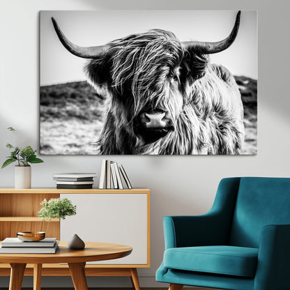 36979-MGV-CV-36X24-Striking black-and-white portrait of a Highland cow with flowing fur and majestic horns, perfect for rustic and elegant home or