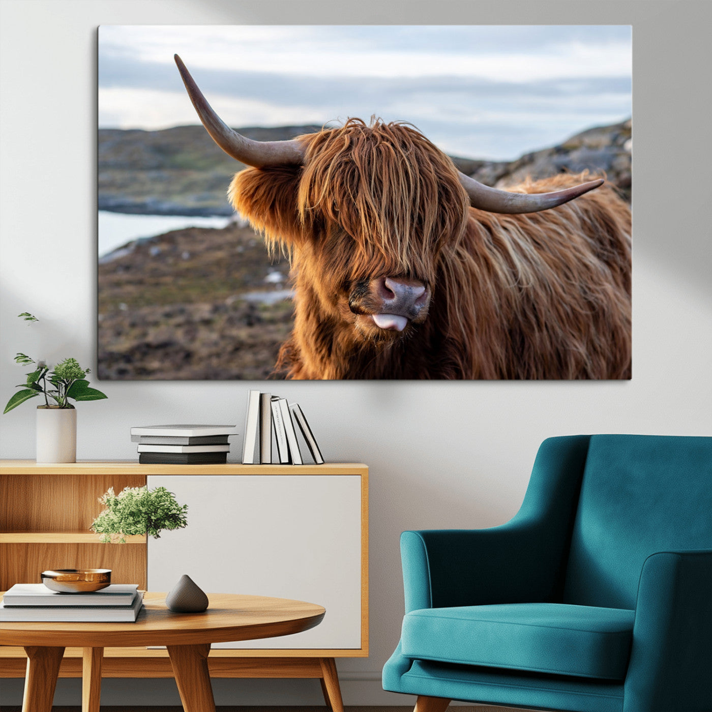 71222-MGV-CV-36X24-A playful Highland cow with shaggy fur sticks out its tongue, set against a rugged landscape — perfect for quirky home or office