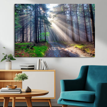 42047-MGV-CV-36X24-Sunlit Forest Path Wall Art – Nature Canvas Print, Serene Woodland Landscape, Perfect Home & Office Decor for Calm and Tranquil