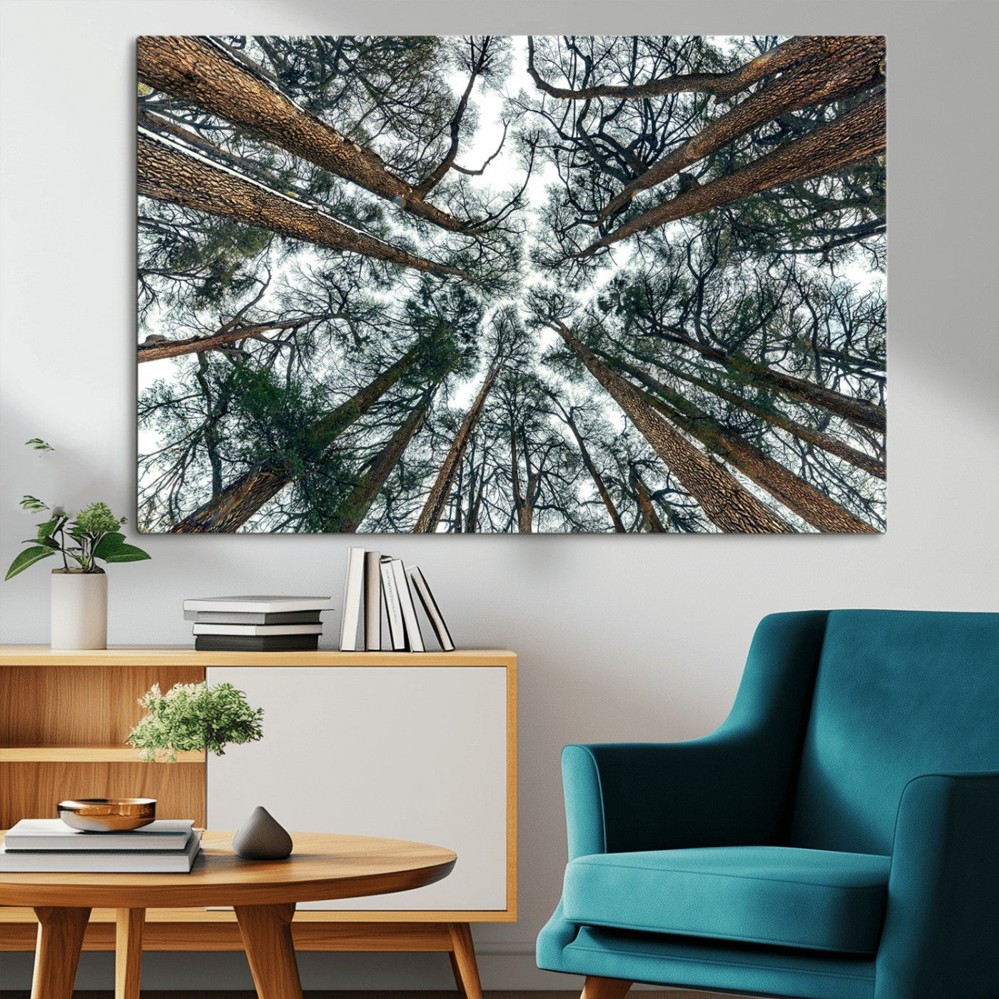 18790-MGV-CV-36X24-Pine Canopy Wall Art – Panoramic View of Towering Pines Canvas Print, Nature-Inspired Decor for Office, Cabin or Living Room
