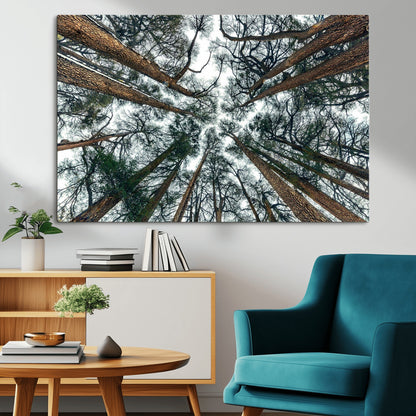 18790-MGV-CV-36X24-Pine Canopy Wall Art – Panoramic View of Towering Pines Canvas Print, Nature-Inspired Decor for Office, Cabin or Living Room