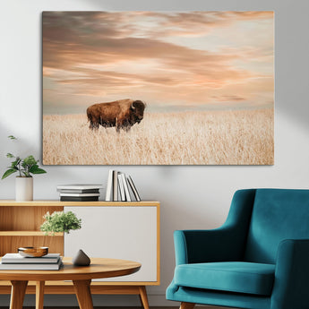 99699-MGV-CV-36X24-Bison in Prairie at Sunset – Wildlife Photography Print, American Buffalo Wall Art, Nature Landscape Canvas Decor for Office