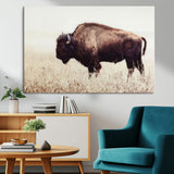48406-MGV-CV-36X24-American Bison Wall Art – Rustic Buffalo Canvas Print in Prairie Field, Western Wildlife Photography Decor for Cabin, Lodge,