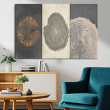 80725-MGV-CV-36X24-Wood Tree Rings Wall Art Canvas Print, Framed Tree Rings Art Picture Print, Abstract Tree Rings Perfect Modern Boho Decor Artwork