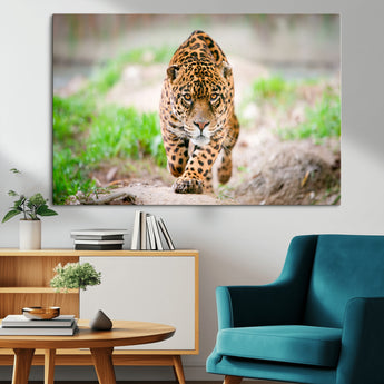 75066-MGV-CV-36X24-Leopard Wall Art Canvas Print, Framed Wild Animal Art Picture Print, Blue Eye Leopard Perfect Wild Minimal Decor Artwork