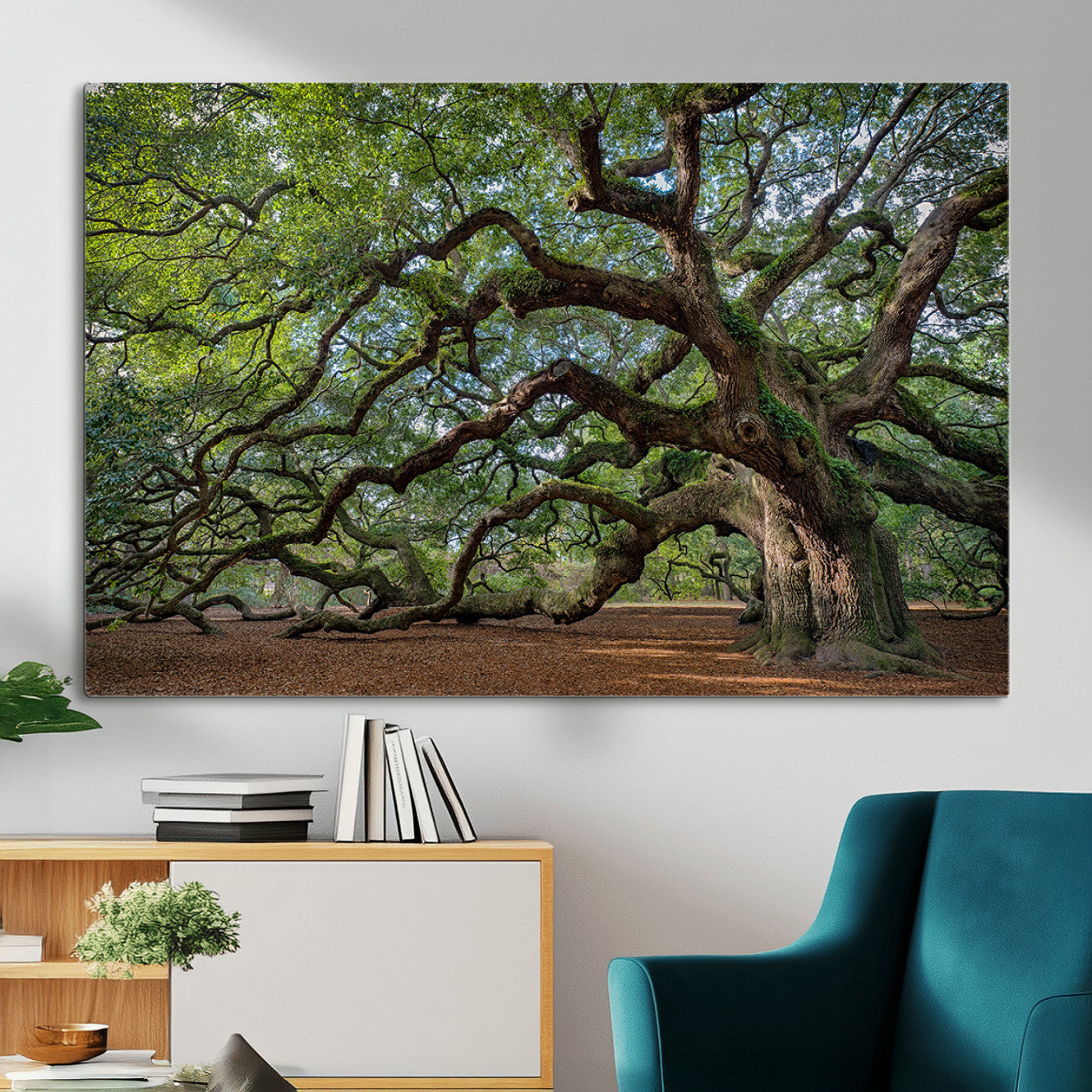 MGV-CV-36X24 - Historic Tree Wall Art Canvas Print, Framed Mossy Tree Art Picture Print, Twisted Branches Perfect Nature Southern Decor Artwork