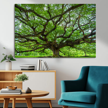49375306-MGV-CV-36X24-Ancient Tree Wall Art Canvas Print, Framed Sprawling Branches Art Picture Print, Gnarling Tree Perfect Earthy Natural Decor