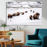 13891210-MGV-CV-36X24-Bison Herd Scene Wall Art Canvas Print, Framed Western Wildlife Decor Art Picture Print, Snowy Mountain Valley Perfect Rustic