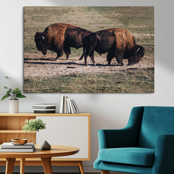 58141885-MGV-CV-36X24-Bison Photography Wall Art Canvas Print, Framed Western Wildlife Art Picture Print, Modern Ranch Perfect Western Rustic Decor