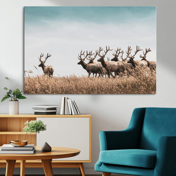 81594705-MGV-CV-36X24-Elk Herd Wall Art Canvas Print, Framed Wildlife Photography Art Picture Print, Rustic Nature Print Perfect Rustic Wildlife Decor