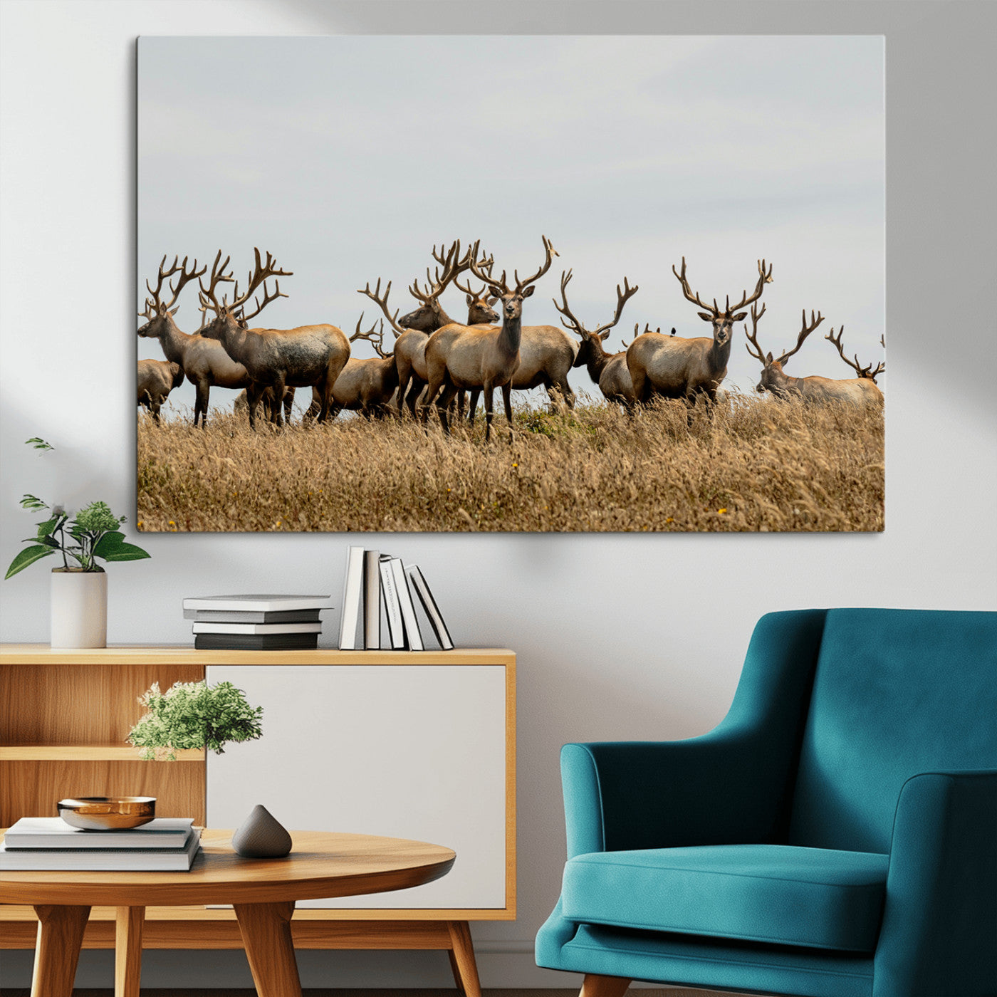 42170220-MGV-CV-36X24-Elk Herd Wall Art Canvas Print, Framed Wildlife Photography Art Picture Print, Majestic Antlers Perfect Rustic Wildlife Decor