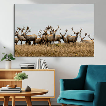 42170220-MGV-CV-36X24-Elk Herd Wall Art Canvas Print, Framed Wildlife Photography Art Picture Print, Majestic Antlers Perfect Rustic Wildlife Decor