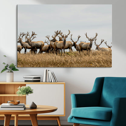 42170220-MGV-CV-36X24-Elk Herd Wall Art Canvas Print, Framed Wildlife Photography Art Picture Print, Majestic Antlers Perfect Rustic Wildlife Decor