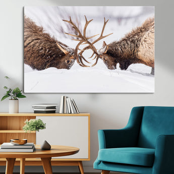 99240306-MGV-CV-36X24-Elk Wall Art – Two Bull Elk Fighting in Snow Canvas Print, Rustic Wildlife Artwork for Cabin, Lodge, Western Farmhouse, Nature &