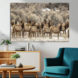 93076148-MGV-CV-36X24-Elk Herd Wall Art – Wildlife Canvas Print of Elk in Winter Landscape, Rustic Western Cabin & Lodge Décor, Nature Photography for
