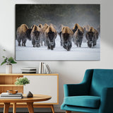 30332489-MGV-CV-36X24-Winter Bison Herd Wall Art – Powerful Buffalo Canvas Print, Rustic Wildlife Photography Decor for Farmhouse, Cabin, Lodge, Living