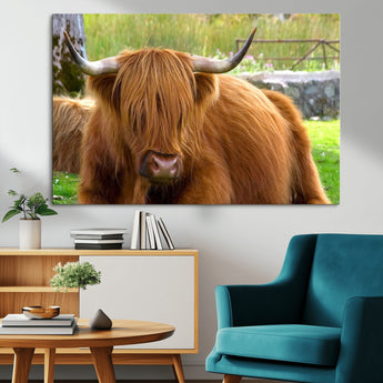 68411138-MGV-CV-36X24-Farmhouse Wall Art – Highland Cow Canvas Print, Rustic Country Cattle Photography Decor for Bedroom, Living Room, Office, Ranch,