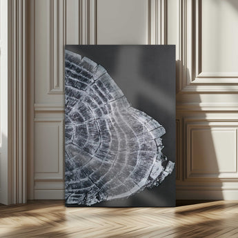 34094020-MGV-CV-24X36-Tree Ring Canvas Wall Art Canvas Print, Framed Modern Rustic Decor Art Picture Print, Botanical Tree Ring Perfect Modern Rustic