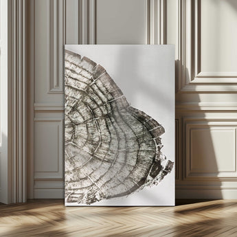 57798204-MGV-CV-24X36-Botanical Tree Ring Wall Art Canvas Print, Framed Earth Tones Art Picture Print, Tree Ring Canvas Perfect Scandinavian Minimalist