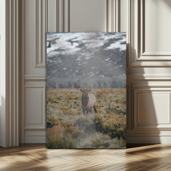 80105083-MGV-CV-24X36-Wild Elk Wall Art Canvas Print, Framed Mountain Wilderness Art Picture Print, Majestic Animal Perfect Rustic Lodge Decor Artwork