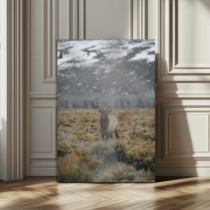80105083-MGV-CV-24X36-Wild Elk Wall Art Canvas Print, Framed Mountain Wilderness Art Picture Print, Majestic Animal Perfect Rustic Lodge Decor Artwork