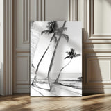 16582004-MGV-CV-24X36-Black and White Tropical Palm Trees Canvas Wall Art – Minimalist Coastal Photography, Large Framed Print for Home, Office, Living