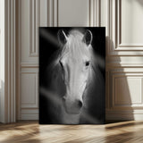 36639-MGV-CV-24X36-Large Wall Art White Horse on Black Background Canvas Print