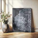 10432121-MGV-CV-24X36-Tree Ring Canvas Wall Art Canvas Print, Framed Rustic Wood Wall Art Picture Print, Botanical Tree Slice Perfect Modern Lodge Decor