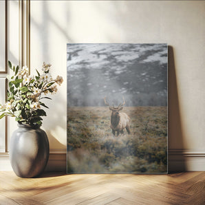 80105083-MGV-CV-24X36-Wild Elk Wall Art Canvas Print, Framed Mountain Wilderness Art Picture Print, Majestic Animal Perfect Rustic Lodge Decor Artwork