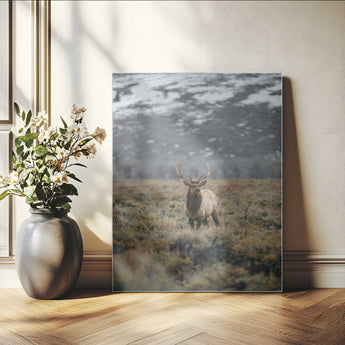 80105083-MGV-CV-24X36-Wild Elk Wall Art Canvas Print, Framed Mountain Wilderness Art Picture Print, Majestic Animal Perfect Rustic Lodge Decor Artwork