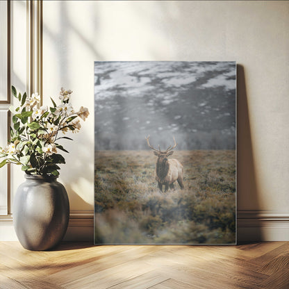 80105083-MGV-CV-24X36-Wild Elk Wall Art Canvas Print, Framed Mountain Wilderness Art Picture Print, Majestic Animal Perfect Rustic Lodge Decor Artwork