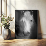36639-MGV-CV-24X36-Large Wall Art White Horse on Black Background Canvas Print