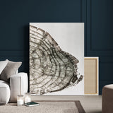 57798204-MGV-CV-24X36-Botanical Tree Ring Wall Art Canvas Print, Framed Earth Tones Art Picture Print, Tree Ring Canvas Perfect Scandinavian Minimalist