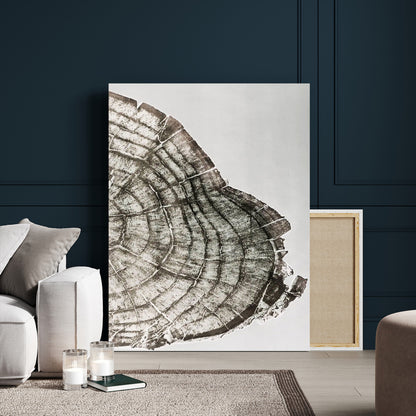 57798204-MGV-CV-24X36-Botanical Tree Ring Wall Art Canvas Print, Framed Earth Tones Art Picture Print, Tree Ring Canvas Perfect Scandinavian Minimalist