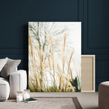 17571705-MGV-CV-24X36-Pampas Grass Wall Art Canvas Print, Framed Neutral Tones Art Picture Print, Minimalist Nature Perfect Boho Minimalist Decor