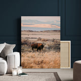 75146693-MGV-CV-24X36-Solitary Buffalo Wall Art Canvas Print, Framed Golden Prairie Art Picture Print, Earthy Tones Perfect Rustic Western Decor Artwork