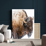 27690436-MGV-CV-24X36-Snowy Buffalo Wall Art Canvas Print, Framed Wildlife Photography Art Picture Print, Rustic Lodge Perfect Rustic Lodge Decor Decor