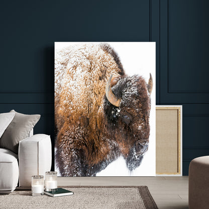 27690436-MGV-CV-24X36-Snowy Buffalo Wall Art Canvas Print, Framed Wildlife Photography Art Picture Print, Rustic Lodge Perfect Rustic Lodge Decor Decor