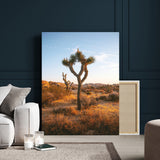 90776393-MGV-CV-24X36-Joshua Tree Wall Art Canvas Print, Framed Golden Hour Desert Art Picture Print, Sunset Glow Perfect Southwestern Boho Decor