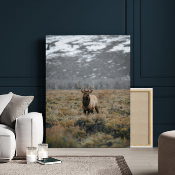 80105083-MGV-CV-24X36-Wild Elk Wall Art Canvas Print, Framed Mountain Wilderness Art Picture Print, Majestic Animal Perfect Rustic Lodge Decor Artwork