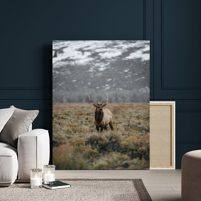 80105083-MGV-CV-24X36-Wild Elk Wall Art Canvas Print, Framed Mountain Wilderness Art Picture Print, Majestic Animal Perfect Rustic Lodge Decor Artwork