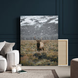 80105083-MGV-CV-24X36-Wild Elk Wall Art Canvas Print, Framed Mountain Wilderness Art Picture Print, Majestic Animal Perfect Rustic Lodge Decor Artwork