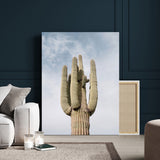 61603772-MGV-CV-24X36-Desert Wall Art – Tall Cactus Canvas Print, Southwestern Nature Photography Decor for Bedroom, Living Room, Office, Boho Home,
