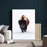 77072968-MGV-CV-24X36-Wildlife Wall Art – Bison in Snow Canvas Print, Rustic Western Nature Photography Decor for Bedroom, Living Room, Office, Cabin,
