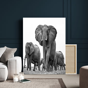 79634-MGV-CV-24X36-Elephant Herd Wall Art Canvas Print, Framed African Elephant Art Picture Print, Monochrome Wildlife Perfect Monochrome Safari