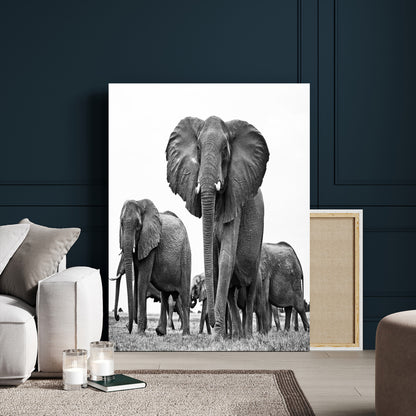79634-MGV-CV-24X36-Elephant Herd Wall Art Canvas Print, Framed African Elephant Art Picture Print, Monochrome Wildlife Perfect Monochrome Safari